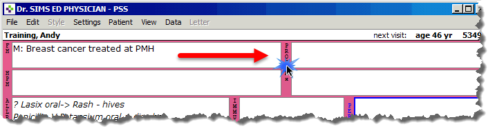 https://www.uhnmodules.ca/For_Staff/computer_education/PSS_eManual/!SSL!/WebHelp/05_The_Records_Menu/5._The_CPP_-_Current_Problem_files/image003.png