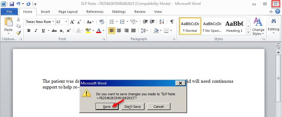 Word Document window