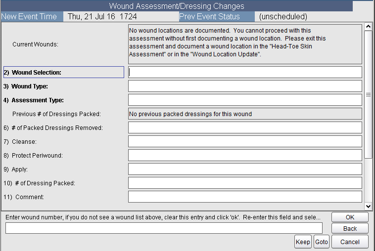 Wound Assessment Dressing Changes fields