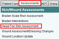 Head-Toe Skin Assessment
