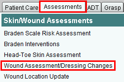 Wound Assessment/Dressing Changes