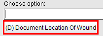 Document Location Of Wound