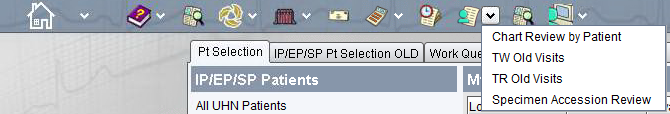 Chart Review by Patient dropdown list options