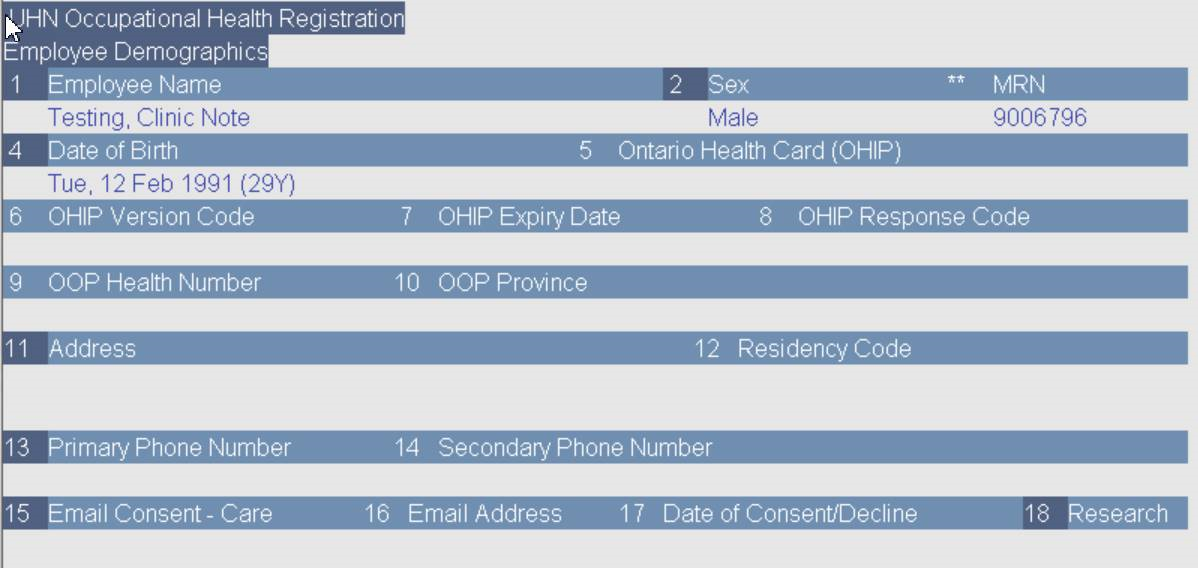 Employee Demographics screen