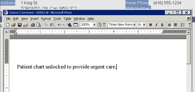 Word document window