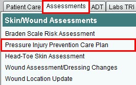 Pressure Injury Prevention Care Plan