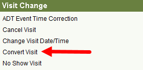 click Convert Visit