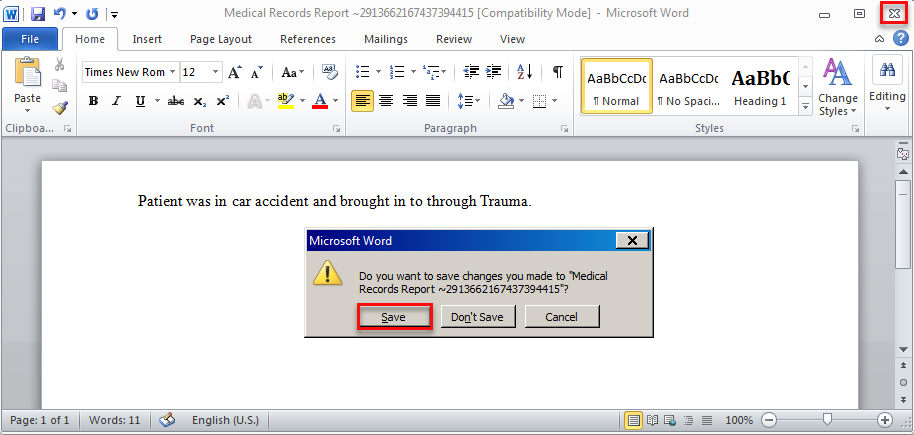 Word document window