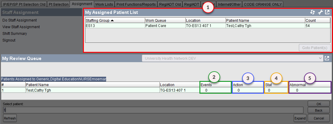 Assignment tab - Count Column and My Review Queue area